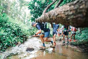 BIB: 
                            <button type="button" onclick="openModal(25372468)" class="btn btn-primary btn-sm float-right btn-popup" data-toggle="modal" data-target=".modal-high-quality">
                        <i class="fas fa-shopping-cart"></i> Add to Cart
                    </button>
                                            <button type="button" onclick="isThisMe(25372468, true)" class="btn btn-success btn-sm float-right btn-popup btn-isme hidden" data-toggle="tooltip" data-placement="bottom" title="นี่คือรูปของคุณใช่ไหม คลิกที่นี่เพื่อเอาเข้าอัลบั้ม">
                        <i class="fas fa-plus"></i> Add to album
                    </button>
                    <button type="button" onclick="isThisMe(25372468, false)" class="btn btn-warning btn-sm float-right btn-popup btn-isnotme hidden">
                        <i class="fas fa-ban"></i> Remove from album
                    </button>